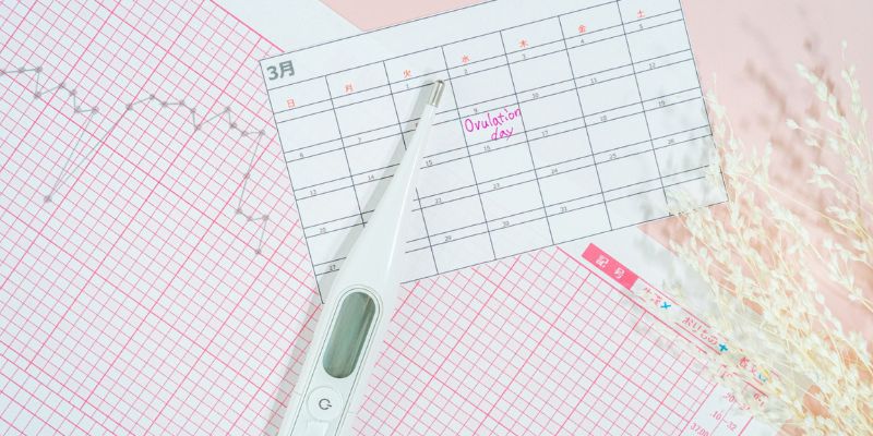 妊活を効率的にしたい方必見!セルフチェックの方法を解説