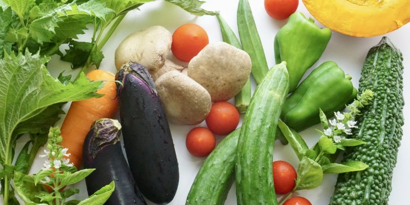 葉酸以外の栄養素10選