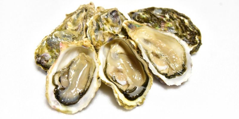 亜鉛を多く含む食材とは